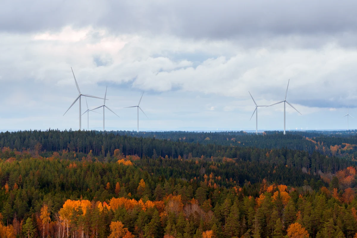 Vindkraftverk i höstskog i Jönköping, Sverige